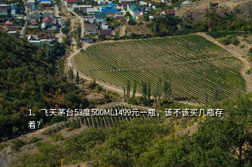 1、飛天茅臺(tái)53度500ML1499元一瓶，該不該買(mǎi)幾瓶存著？