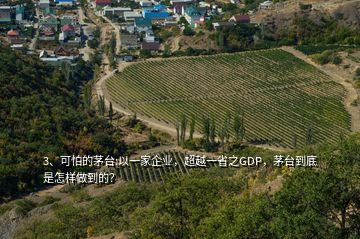 3、可怕的茅臺(tái):以一家企業(yè)，超越一省之GDP，茅臺(tái)到底是怎樣做到的？