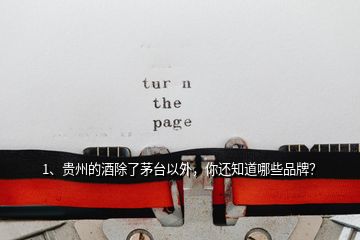 1、貴州的酒除了茅臺(tái)以外，你還知道哪些品牌？