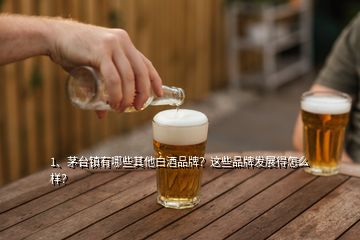 1、茅臺(tái)鎮(zhèn)有哪些其他白酒品牌？這些品牌發(fā)展得怎么樣？