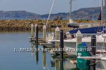 1、為什么叫飛天茅臺？飛天和五星的區(qū)別是什么？
