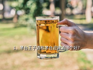 1、茅臺王子酒和茅臺迎賓酒哪個好？