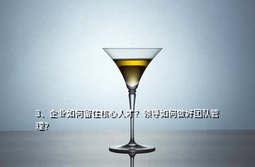 3、企業(yè)如何留住核心人才？領(lǐng)導(dǎo)如何做好團隊管理？