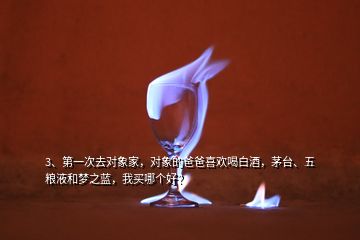 3、第一次去對象家，對象的爸爸喜歡喝白酒，茅臺、五糧液和夢之藍，我買哪個好？