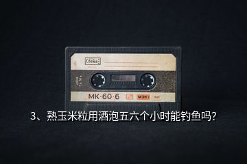 3、熟玉米粒用酒泡五六個小時能釣魚嗎？