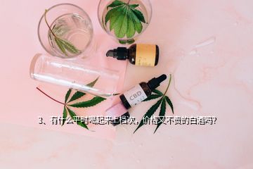 3、有什么平時(shí)喝起來上檔次，價(jià)格又不貴的白酒嗎？