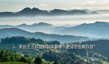 1、茅臺(tái)王子珍品和劍南春哪個(gè)更適合長期存放？
