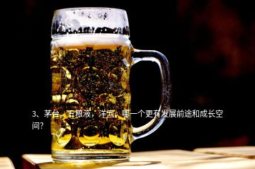 3、茅臺(tái)，五糧液，洋河，哪一個(gè)更有發(fā)展前途和成長空間？