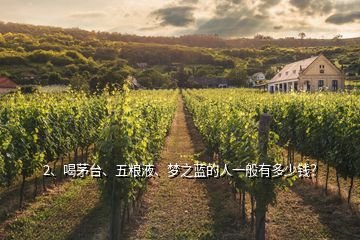 2、喝茅臺(tái)、五糧液、夢(mèng)之藍(lán)的人一般有多少錢？
