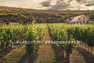 3、茅臺真有遼寧產(chǎn)的嗎？潘老師賣的酒真的是茅臺酒廠的嗎？