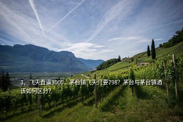 3、飛天直逼3000，茅臺(tái)鎮(zhèn)飛天只要798？茅臺(tái)與茅臺(tái)鎮(zhèn)酒該如何區(qū)分？