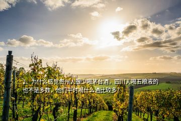 2、為什么感覺貴州人很少喝茅臺酒，四川人喝五糧液的也不是多數(shù)，他們平時喝什么酒比較多？