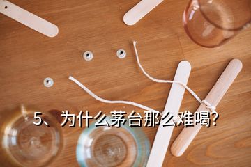5、為什么茅臺那么難喝？