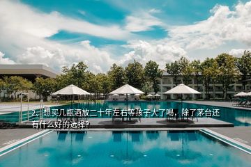 2、想買幾瓶酒放二十年左右等孩子大了喝，除了茅臺還有什么好的選擇？