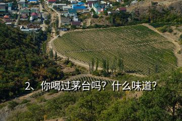 2、你喝過茅臺嗎？什么味道？