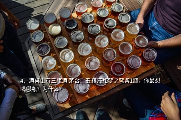 4、酒桌上有三瓶酒:茅臺、五糧液和夢之藍各1瓶，你最想喝哪瓶？為什么？