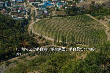 1、如何區(qū)分茅臺鎮(zhèn)、茅臺集團、茅臺股份公司的酒？