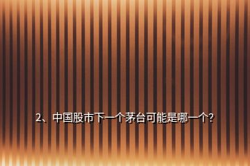 2、中國(guó)股市下一個(gè)茅臺(tái)可能是哪一個(gè)？