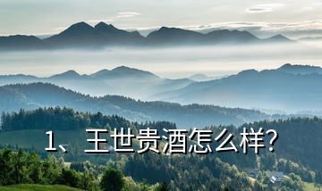 1、王世貴酒怎么樣？