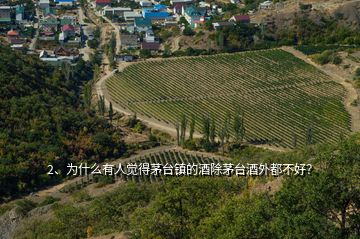 2、為什么有人覺得茅臺鎮(zhèn)的酒除茅臺酒外都不好？