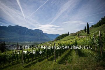 1、工商銀行，貴州茅臺(tái)這樣的企業(yè)分紅比融資多幾倍幾十倍，為什么要上市？