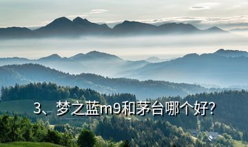 3、夢(mèng)之藍(lán)m9和茅臺(tái)哪個(gè)好？