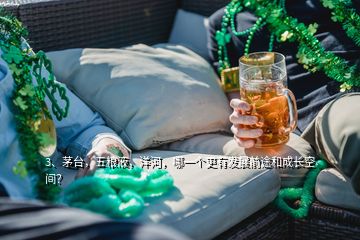 3、茅臺，五糧液，洋河，哪一個更有發(fā)展前途和成長空間？