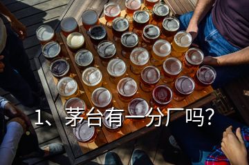 1、茅臺有一分廠嗎？