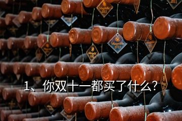 1、你雙十一都買了什么？