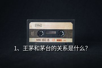 1、王茅和茅臺(tái)的關(guān)系是什么？
