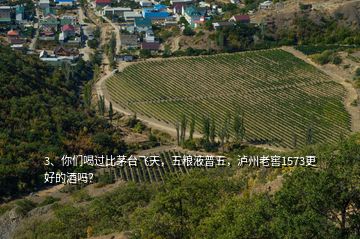 3、你們喝過比茅臺飛天，五糧液普五，瀘州老窖1573更好的酒嗎？