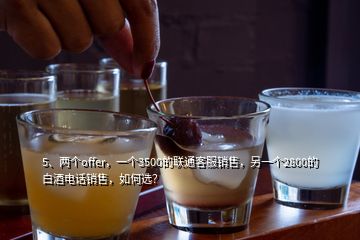 5、兩個(gè)offer，一個(gè)3500的聯(lián)通客服銷(xiāo)售，另一個(gè)2800的白酒電話銷(xiāo)售，如何選？