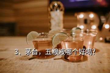 3、茅臺(tái)，五糧液哪個(gè)好喝？
