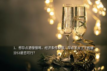 1、想存點(diǎn)酒慢慢喝，經(jīng)濟(jì)條件有限，存點(diǎn)茅臺(tái)王子和玻汾53是否可行？