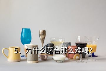 5、為什么茅臺(tái)那么難喝？