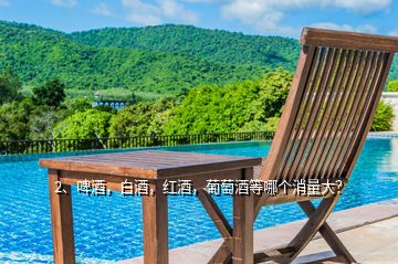 2、啤酒，白酒，紅酒，葡萄酒等哪個消量大？