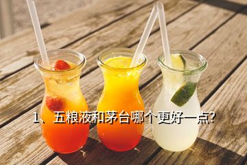 1、五糧液和茅臺(tái)哪個(gè)更好一點(diǎn)？