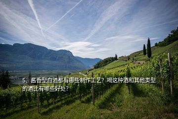 5、醬香型白酒都有哪些制作工藝？喝這種酒和其他類型的酒比有哪些好處？