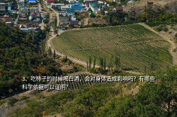 3、吃柿子的時候喝白酒，會對身體造成影響嗎？有哪些科學(xué)依據(jù)可以證明？