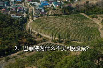 2、巴菲特為什么不買(mǎi)A股股票？