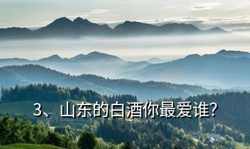 3、山東的白酒你最愛誰(shuí)？