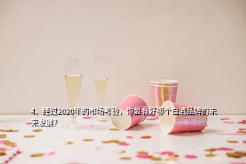 4、經(jīng)過2020年的市場(chǎng)考驗(yàn)，你最看好哪個(gè)白酒品牌的未來(lái)發(fā)展？