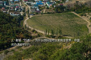 2、都是“烈酒”，為什么伏特加可以賣到全世界，中國(guó)的白酒卻不行？
