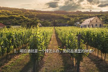 1、喝白酒就是一個辣怎么辦，如何品酒里的味道？
