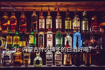 3、內(nèi)蒙古什么牌子的白酒好喝？