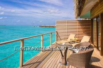 1、你們家鄉(xiāng)的白酒是什么品牌？叫什么名字？