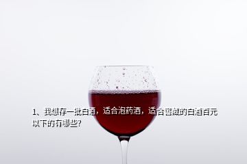 1、我想存一批白酒，適合泡藥酒，適合窖藏的白酒百元以下的有哪些？