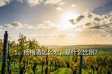 1、楊梅酒怎么泡，是什么比例？