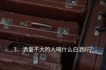 3、酒量不大的人喝什么白酒好？