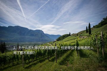 2、為什么農(nóng)村釀的燒酒度數(shù)高，但是哪怕不會(huì)喝酒的人喝了都不易醉？